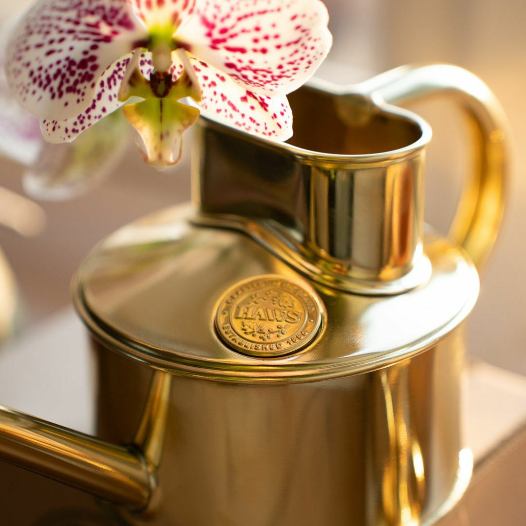 水差し 0.7L コンパクト ブラス HAWS ホーズ