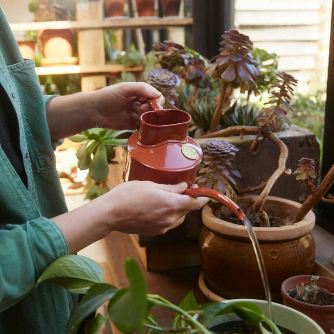 水差し 0.7L コンパクト HAWS ホーズ