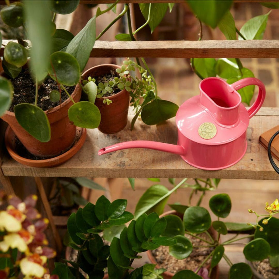 水差し 0.7L コンパクト HAWS ホーズ