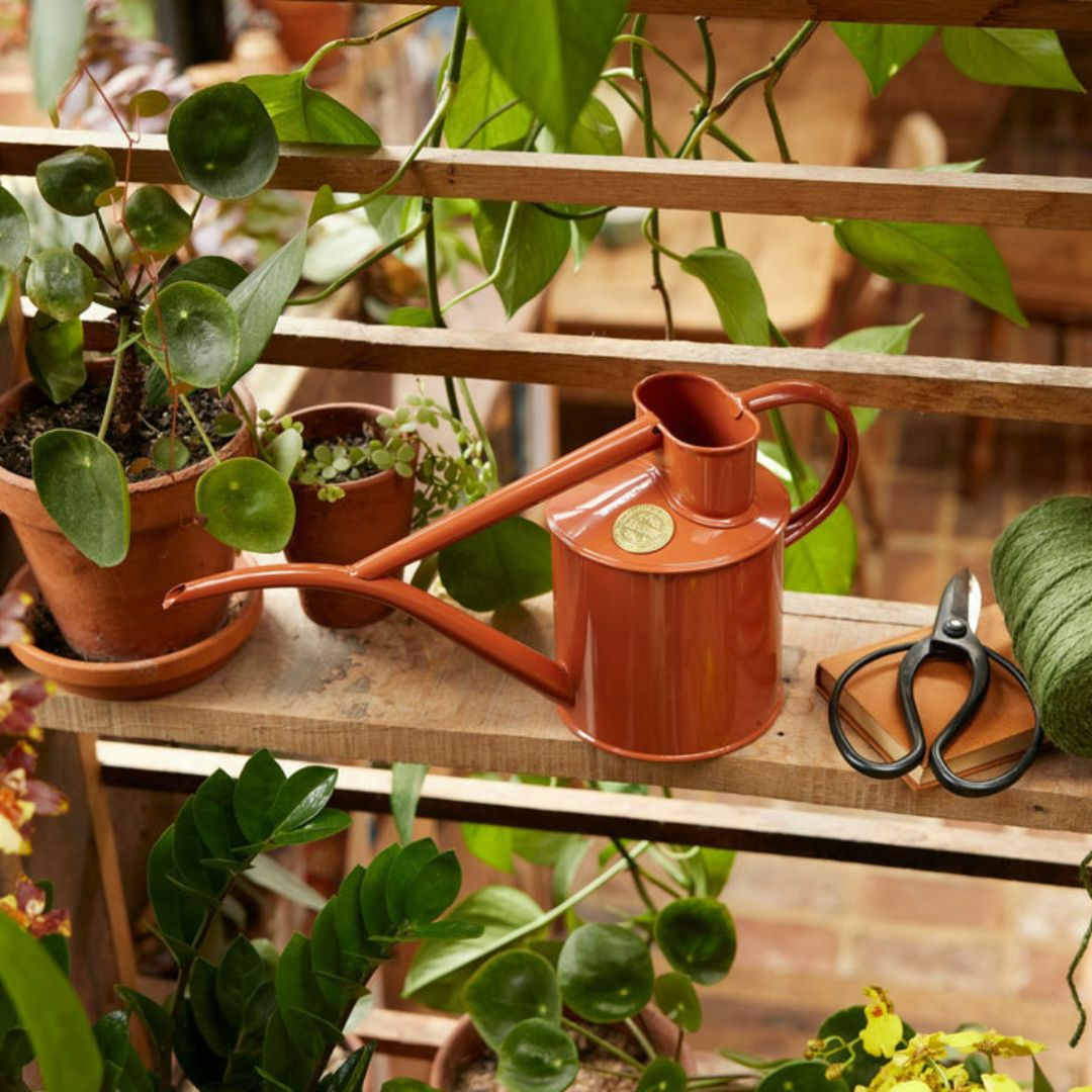 水差し 1L HAWS ホーズ