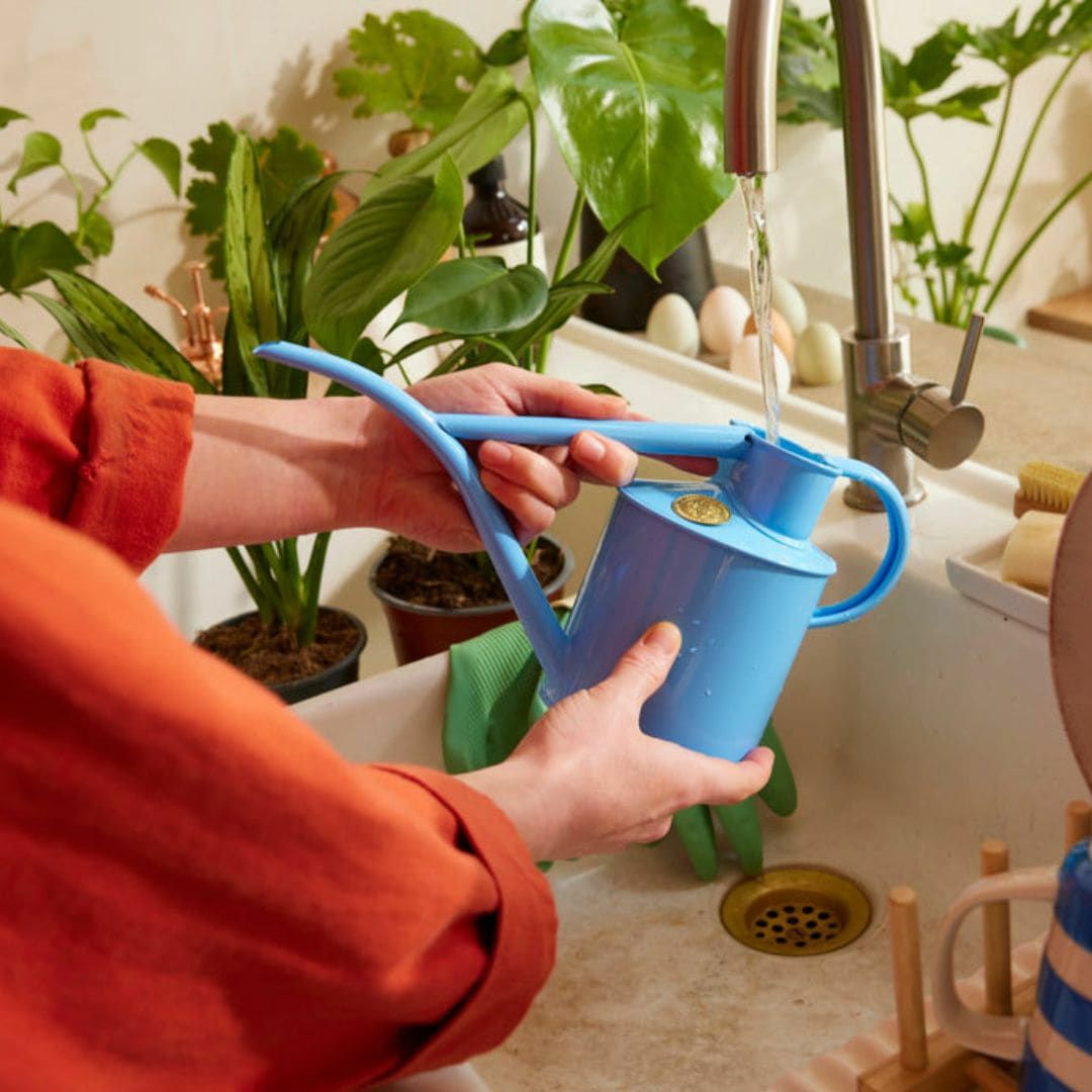 水差し 1L HAWS ホーズ